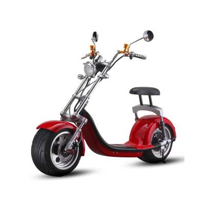 Hot sale ex-factory price supply new citycoco electric scooter